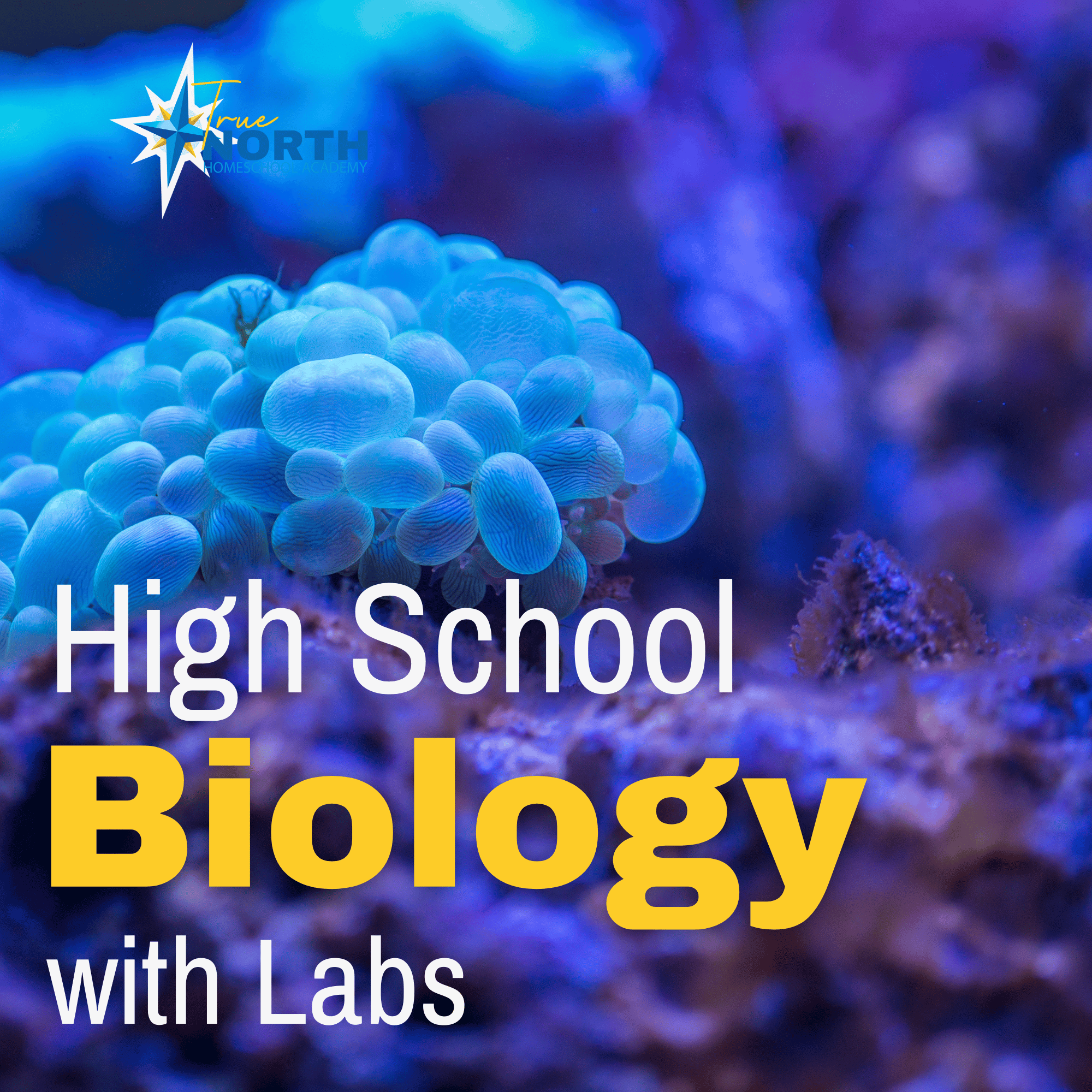 High School biology with labs with dr. Kristin Moon