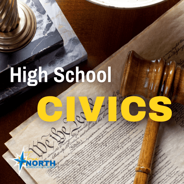 highh school civics class online