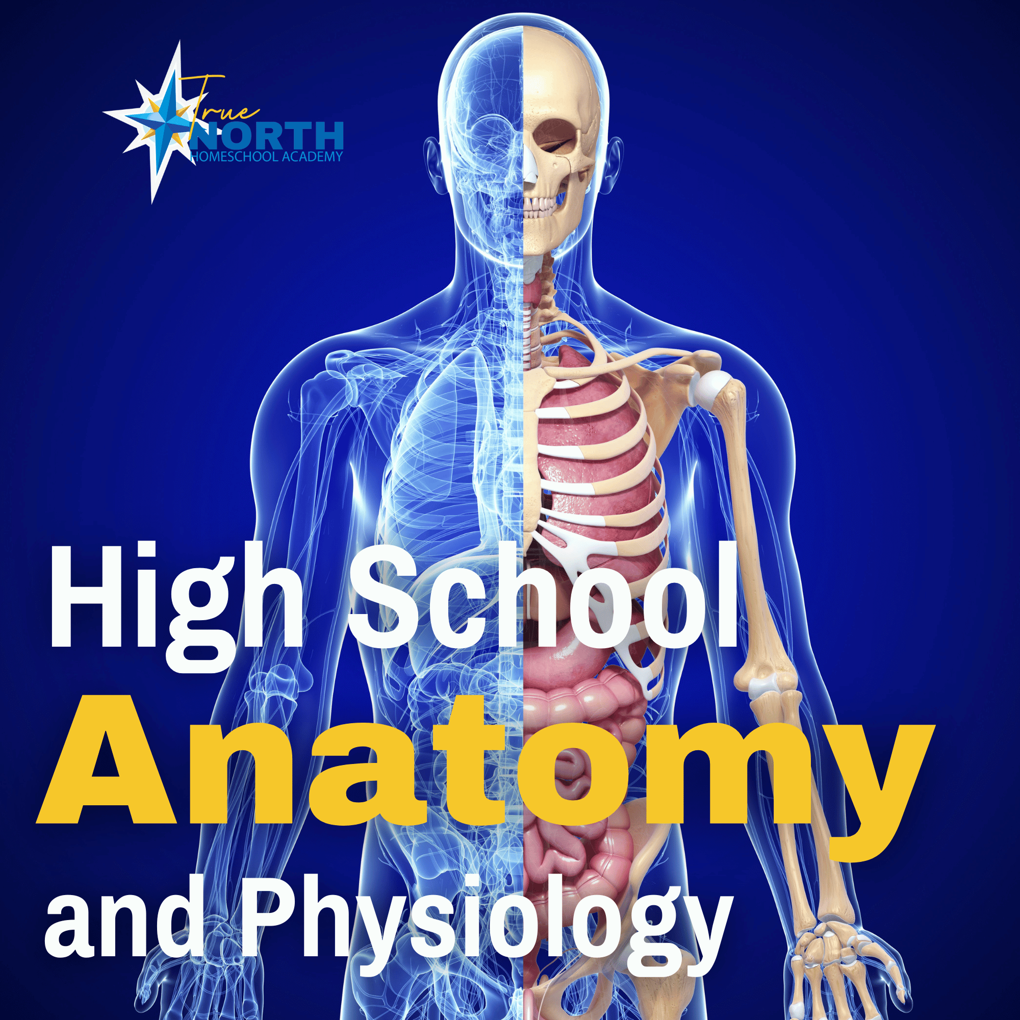 anatomy and physilogy for homeschool high school students
