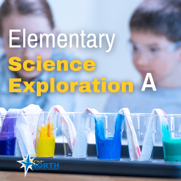 Science Exploration for Homeschool Students online class