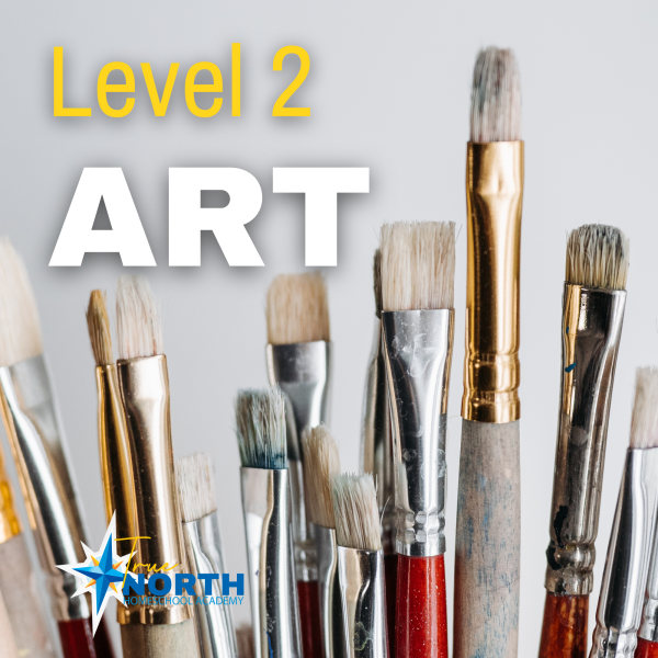 Art level 2 online class for homeschoolers