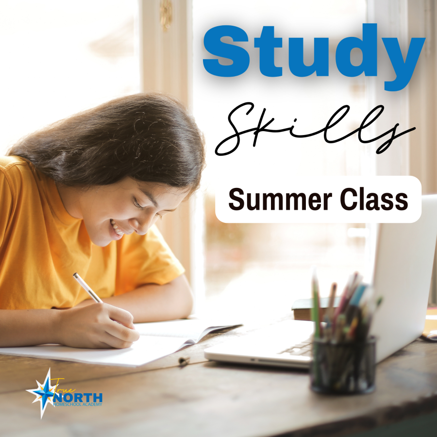 Study Skills summer bootcamp