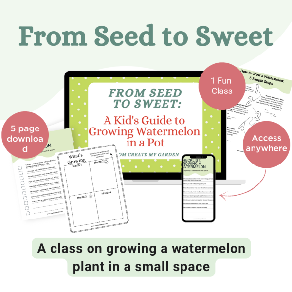 From Seed to Sweet: A Kids Guide to Growing a Watermelon in a Pot